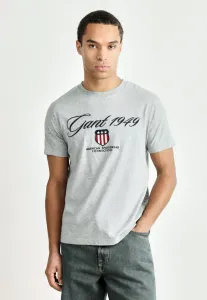 Футболка с графическим принтом Gant, Grey Melange