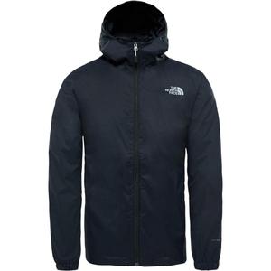 THE NORTH FACE Мужская куртка, цвет Black