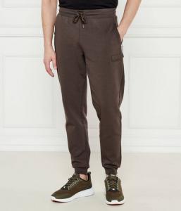 Спортивные штаны мужские Ea7 на кулиске, коричневый