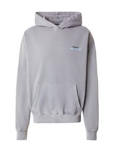 Pegador Толстовка 'Caserta' в сером цвете
