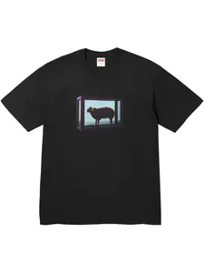 Футболка с принтом из коллаборации с Damien Hirst Supreme, черный