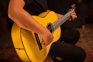 Ortega Семейная серия Pro Solid Top Фламенко-гитара с сумкой