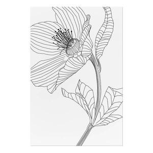 Фреска Artgeist Spring Sketch, черно-белый