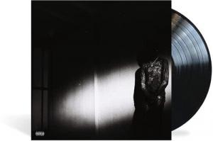 Виниловая пластинка Destroy Lonely: No Stylist