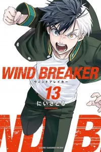 Wind Breaker (13) (Kodansha Comics)