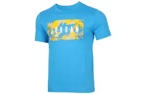 Мужская футболка Jordan, синий