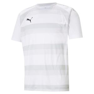 Детская футболка Puma teamVISION Jersey Jr 704928