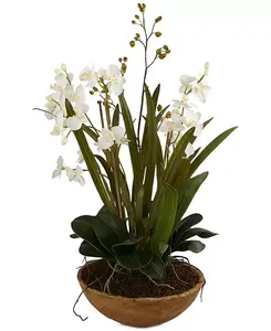 Кашпо для орхидей «Мотылёк» Uttermost, multi