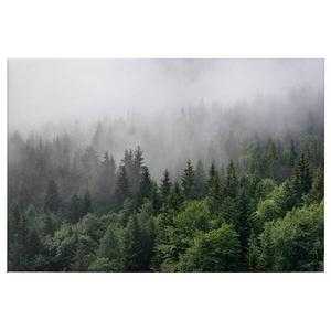 Фреска A.S. Création Wald im Nebel, зеленый/белый