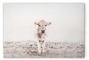 Картина на холсте A.S. Création Highland Cattle 3 цвет weisscremebeige