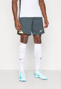 Спортивные шорты Nike Performance STRIKE SHORT, Seaweed/Limelight/Light Green