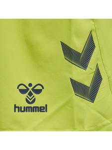 Hummel Шорты Short in Grün