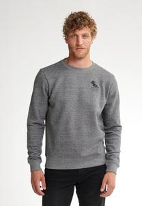 Толстовка Petrol Industries TELLURIDE, Gunmetal