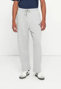 Свободные спортивные штаны с логотипом Hollister Co., Grey