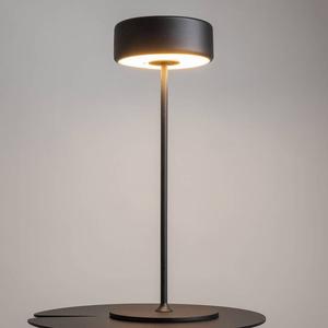 Светодиодная настольная лампа Maytoni Decorative Lighting AI Collaboration Typ B, алюминий - 1 пламя - черный