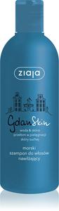 Увлажняющий шампунь для защиты кожи Gdan Ziaja, 300 мл