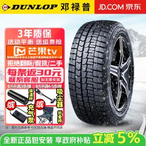 Dunlop Зимние шины 225/55R17 91S WM02, противогололедные, продаются только комплектом из 4 штук