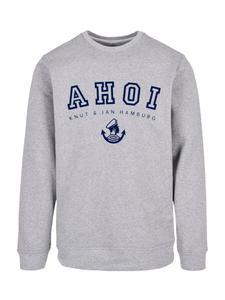 Свитер F4NT4STIC Sweatshirt Ahoi Knut & Jan Hamburg, серый