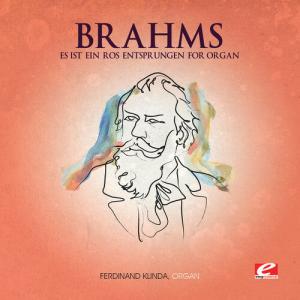 CD диск Brahms: Es Ist Ein Ros Entsprungen for Organ