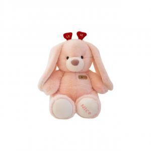 Плюшевая кукла LOVE Lufu Bear Little Rabbit высотой 30см/45см YOUYOUGUNANA
