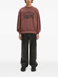 Толстовка с принтом храма Aries, красный