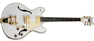 Schecter ROBIN ZANDER CORSAIR