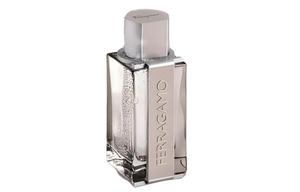 Универсальные духи superior style Ferragamo