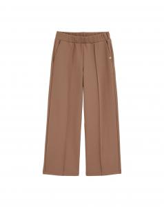 WE Fashion Широкие брюки в коричневом цвете