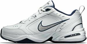 Низкие кроссовки Nike для мужчин, White Metallic Silver Navy Blue