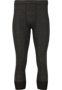 Облегающие спортивные брюки Whistler Bradley, серый