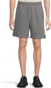 Мужские шорты Evolution Emb The North Face, TNF Mid Grey Heather