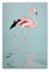 Картина на холсте A.S. Création Flamingo Water цвет blaurosagrau