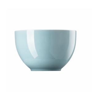 Миска для хлопьев Sunny Day Soft Blue, 12 см Thomas, белый синий