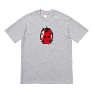 Футболка ss18 ladybug tee heather grey printing short sleeve gray Supreme, серый