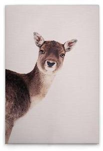 Картина на холсте A.S. Création Deer Rose цвет beigebrauncremeschwarz