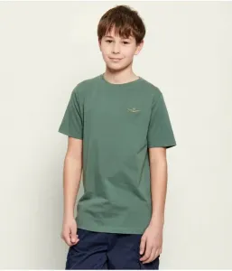 Футболка regular fit Aeronautica Militare, зеленый