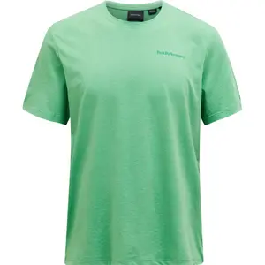 Футболка с коротким рукавом Peak Performance Explore Logo, зеленый
