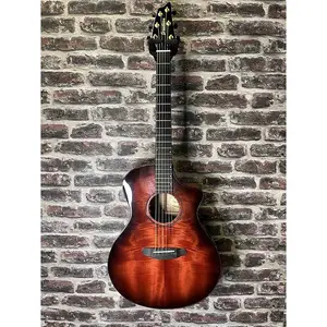 Концерт Breedlove в Орегоне Sburst