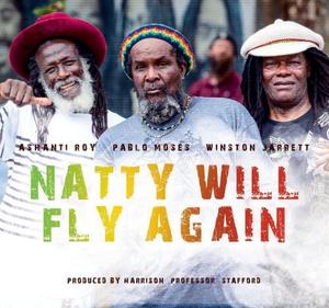 CD диск Natty Will Fly Again / Various: Natty Will Fly Again / Various