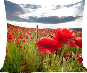 Декоративная подушка , диванная подушка, декоративная подушка для гостиной, 40x40 см, маки на фоне драматичного грозового неба - фотоподушка - украшение для спальни MuchoWow