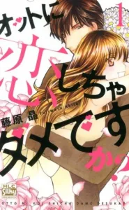 Is It Wrong to Fall in Love with an Otaku? (1) (Hakusensha Ladies Comics Silk Presents)