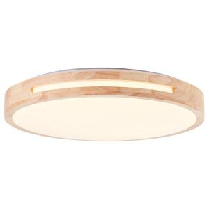 Светодиодный потолочный светильник Brilliant Woodbury, акриловое стекло / железо - 1 пламя