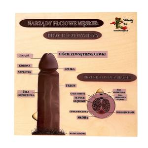 Загадка мужских половых органов, строение половых органов, половое воспитание Inna marka