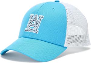 Under Armour мужская кепка Blitzing Trucker, (452) Ether Blue/Halo Gray