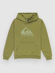 Толстовка Quiksilver Comp Logo Kids Hoodie, loden green