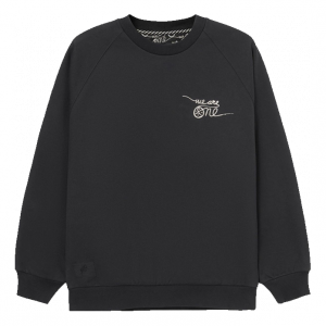 Спортивная толстовка Li-Ning x DFT Way Of Wade Graphic Sweatshirt 'Black' AWDRE79-1, черный