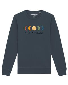 Свитер Watapparel Sweatshirt Not a Phase, антрацит