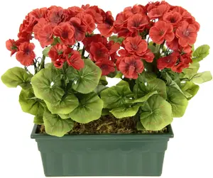 Мой домашний искусственный цветок "Герань", в коробке My home 30х36х18 см, красный