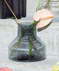 База Iittala Solare 220*200 мм