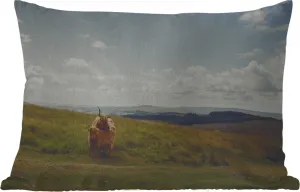 Подушка для улицы - Шотландские горные коровы - Трава - Облака - Животные - 60 x 40 см - Устойчива к погодным условиям - Подушка для отдыха - Декоративная подушка - Подушка для дома MuchoWow